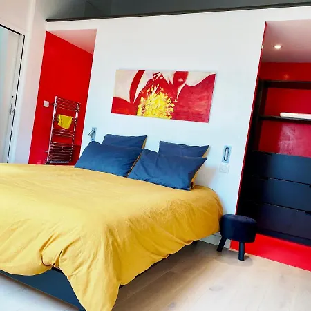 Duplex Face Confort Sur La /tennis *